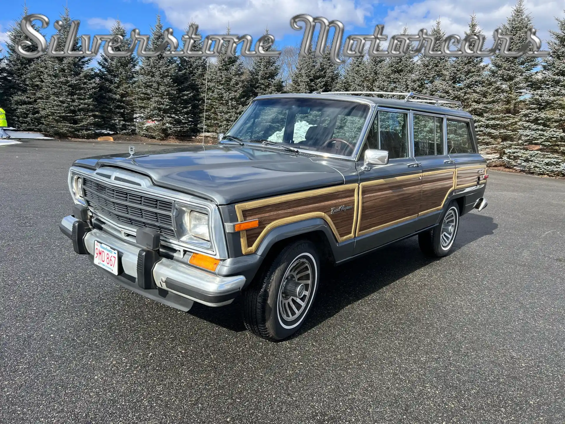 1989 Jeep Grand Wagoneer
