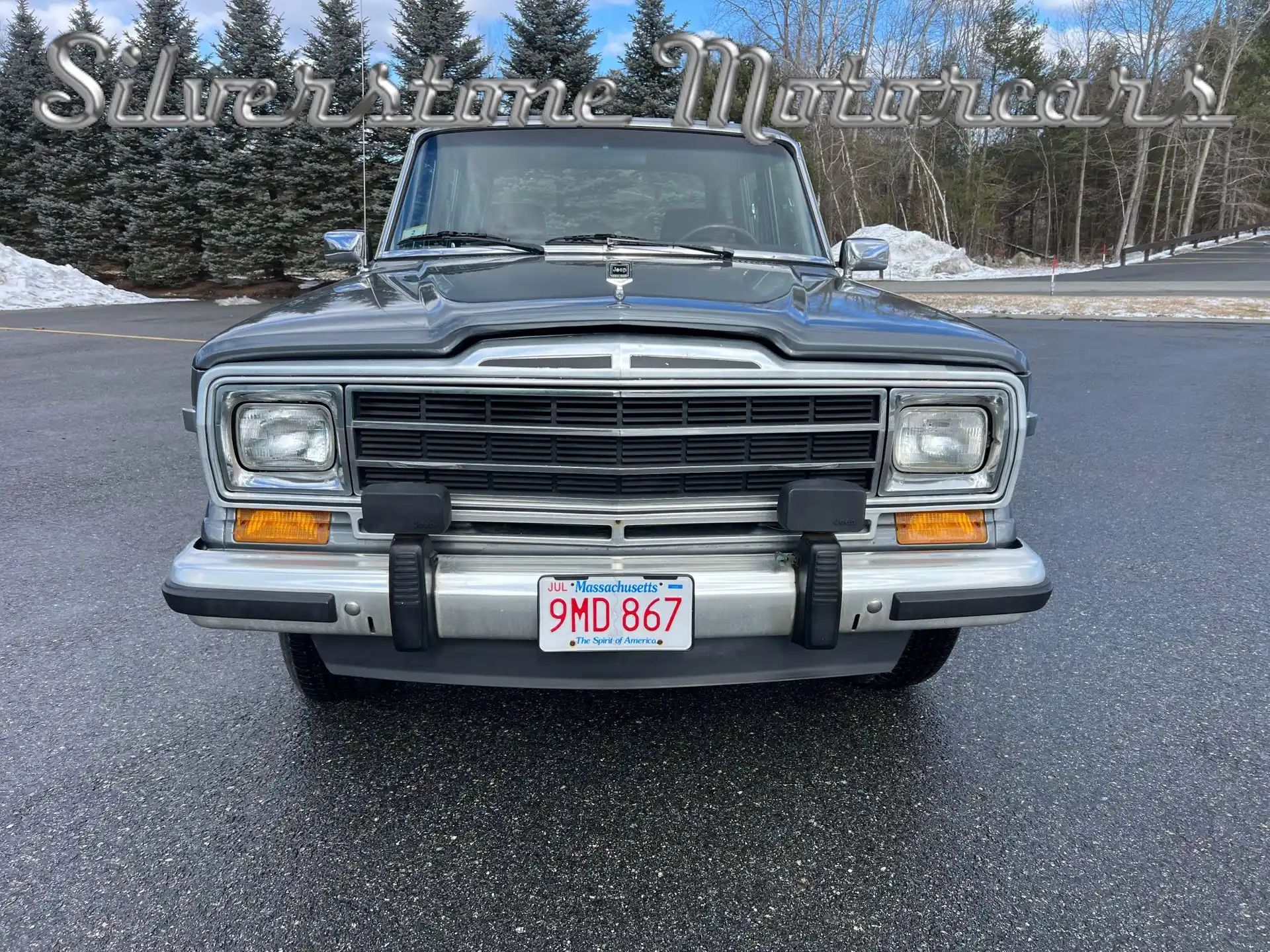 1989 Jeep Grand Wagoneer - 2